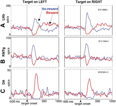 Figure 10 From Negative Reward Signals From The Lateral Habenula To