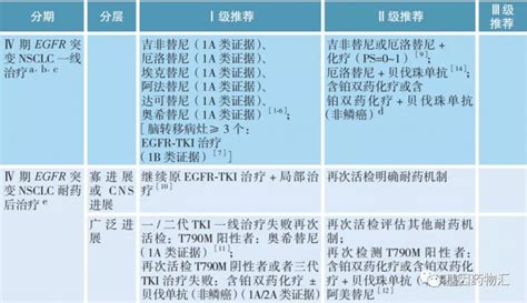 2021年非小细胞肺癌CSCO指南 患者版 非小细胞肺癌靶向治疗方案及靶点解读 全球肿瘤医生网