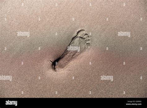 Human Man Footprint Hi Res Stock Photography And Images Alamy