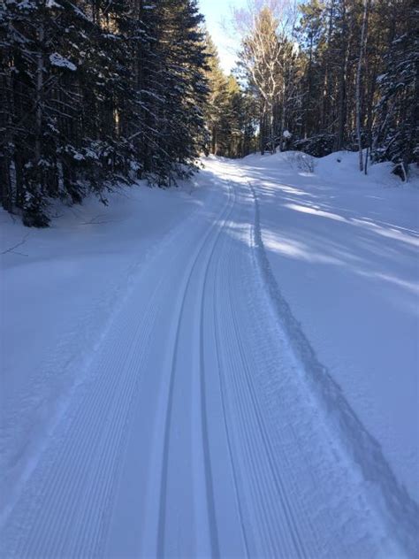 Photo Album Trail Report Bally Creek Trails