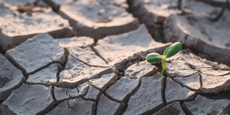 Las Sequías Cada Vez Son Más Prolongadas Y Frecuentes En Todo El Mundo