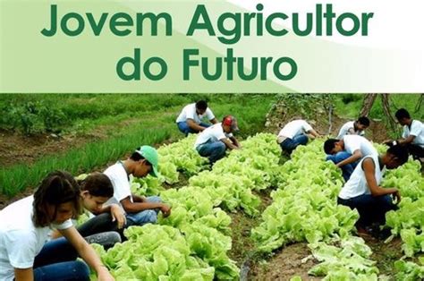 Feira de Orgânicos do programa Jovem Agricultor do Futuro Ivan Mello