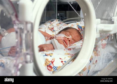 Premature Baby In Incubator In Intensive Care Unit Of Maternity