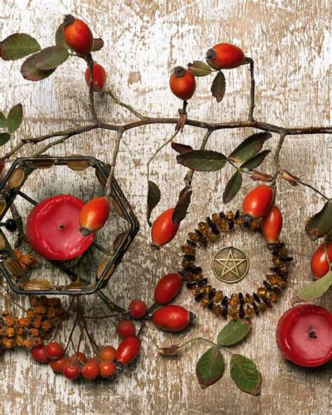 A Mabon Celebration ~ Rituals & Blessings - The Daily Dish