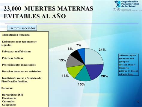 Mortalidad Materna Yneonatalrelacionodms Ops Gustavo Bergonzoli