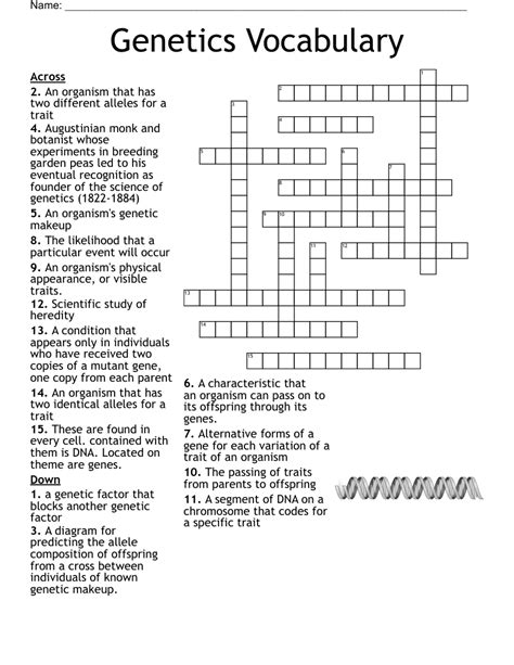 Genetics Crossword Wordmint