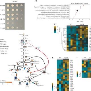 Metaboverse Identified Signatures Suggest Compensatory Mechanisms To