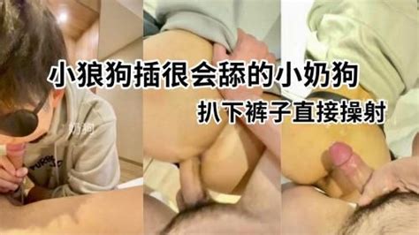 小狼狗x很会舔的小奶狗扒下裤子直接操射 Asian Gay Porn