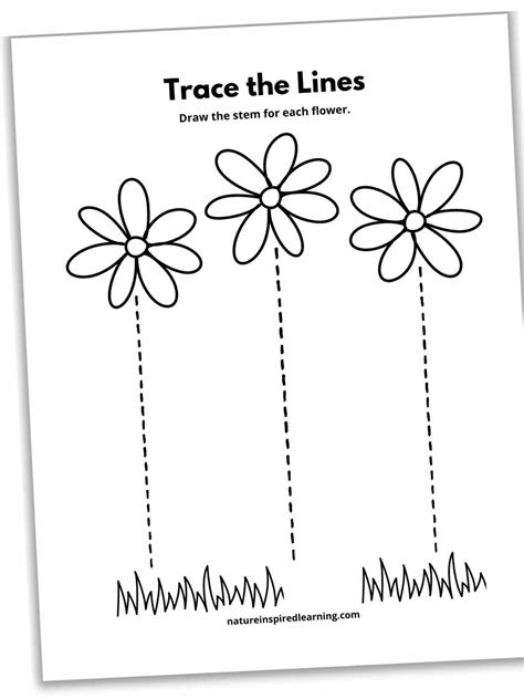 17 Line Tracing Worksheets Free Nature Inspired Learning Worksheets Library