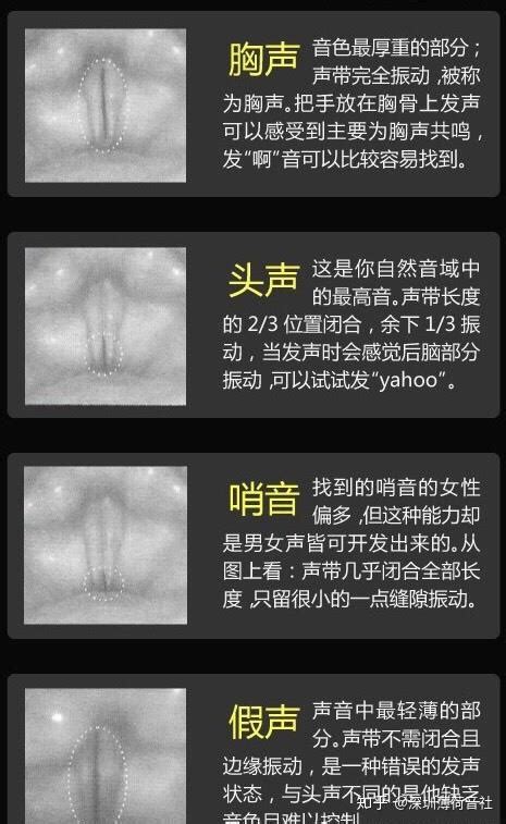 如何开发你的“头声”和“咽音”而获得“混声”解决高音问题 知乎