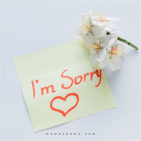 I'm Sorry Quotes and Messages for Her to Personalize Your Apology