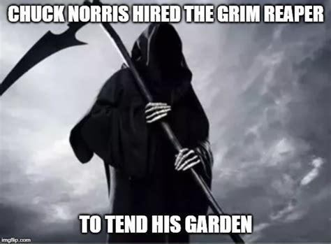 Grim Reaper Meme Shinediki