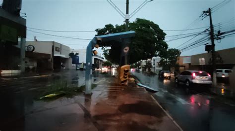 Temporal Derruba árvores Alaga Casas E Provoca Estragos No Comércio