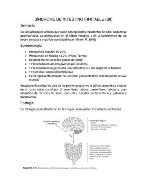 Resúmenes De Síndrome Del Intestino Irritable Descarga Apuntes De