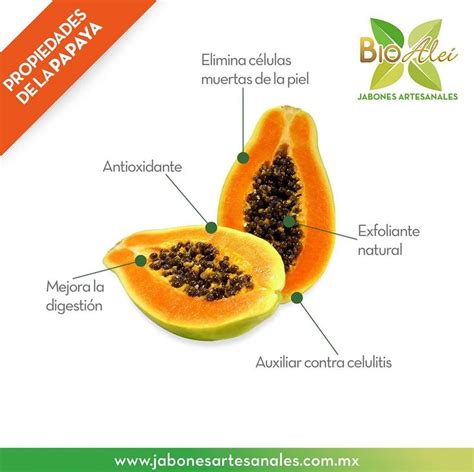 Propiedades De La Papaya BioAlei Fruit Food Cantaloupe