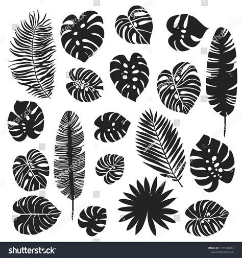 Silhouette Tropical Leaves Set Vector Illustration Stock Vector