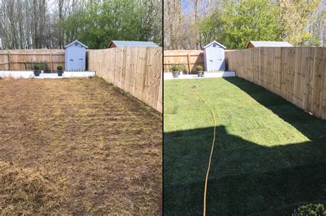 Lawn Care Before And After Atelier Yuwaciaojp