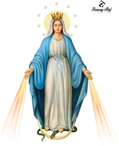 Conception Holy Obligation Of Novena Feast Mary Clipart Mama Mary