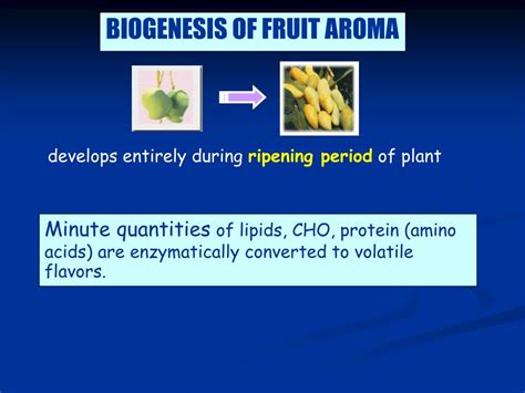 Ppt Biosynthesis Of Plant Derived Flavor Compounds Powerpoint Presentation Id217240