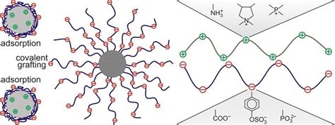 Left Schematic Representation Of Polyelectrolyte Coated Particles Download Scientific Diagram