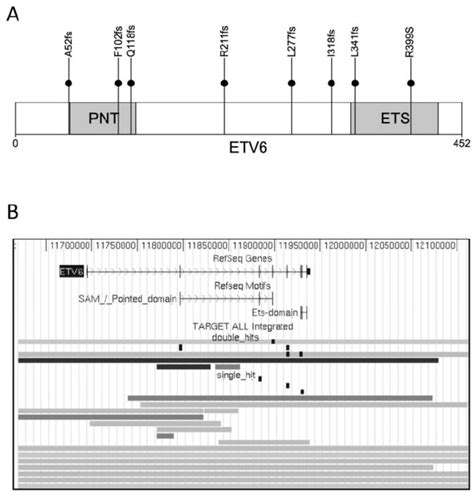 Somatic Mutations In Etv A Distribution Of Somatic Sequence