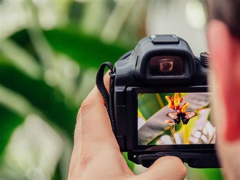 15 Best Online Photography Classes Guaranteed To Improve Creativity