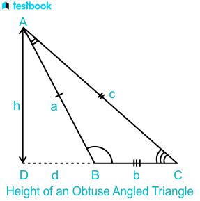 Obtuse Angled Triangle Area Perimeter With Properties