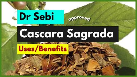 DR SEBI APPROVED HERB CASCARA SAGRADA Constipation YouTube