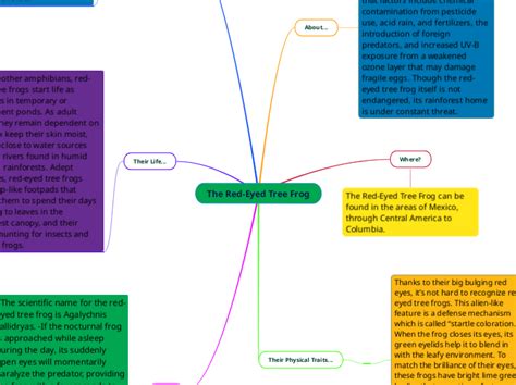 The Red Eyed Tree Frog Mind Map