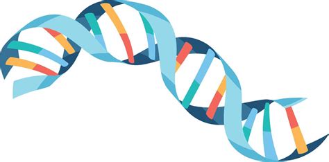 Dna Cartoon Vector Art Icons And Graphics For Free Download