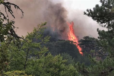 Sotto Il Coordinamento Della Prefettura Al Via La Campagna Antincendi