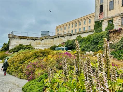 Visit Alcatraz With Kids 510 Families