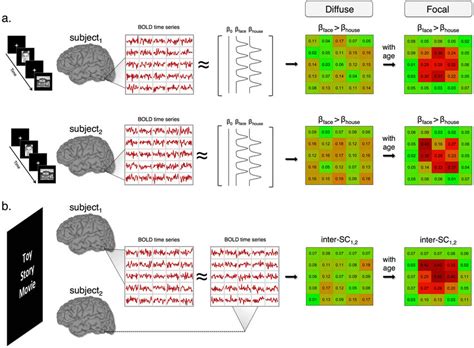 Functional Specialization With Inter Subject Synchronization A A