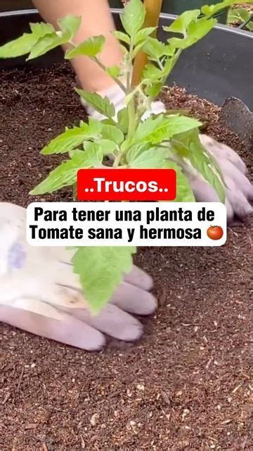 Escuela De Huertos Organicos On Instagram Ten En Cuenta Estos