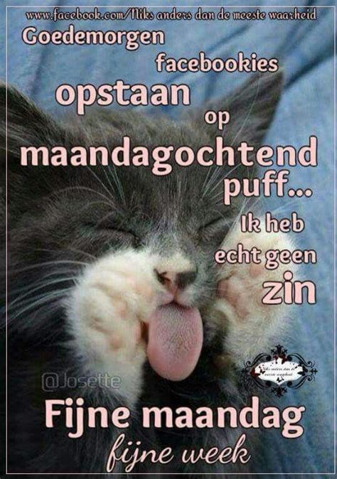 Fijne Maandag Humor Beste Plaatjes