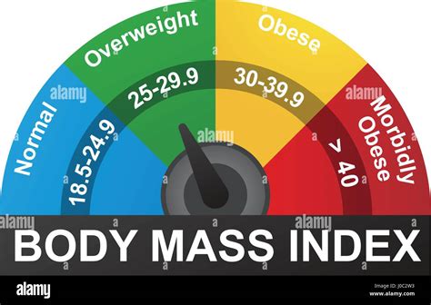 Bmi Or Body Mass Index Infographic Chart Stock Vector Image Art Alamy