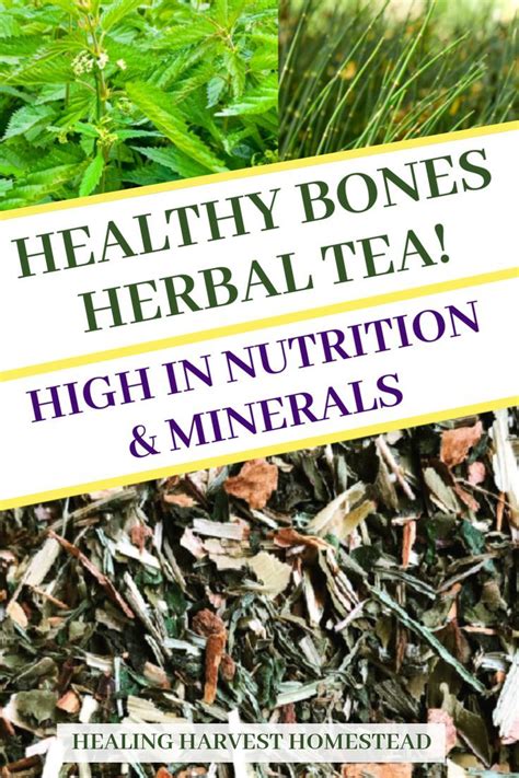 Healthy Bones Tea Recipe: High Nutrition and Minerals for Your Bones' Health — All Posts Healing ...