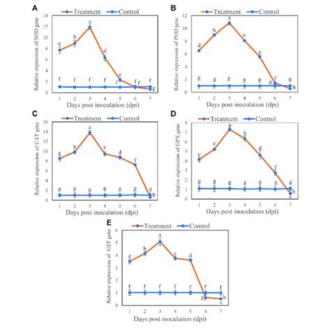 Relative Expression Of A SOD B POD C CAT D GPX And E GST
