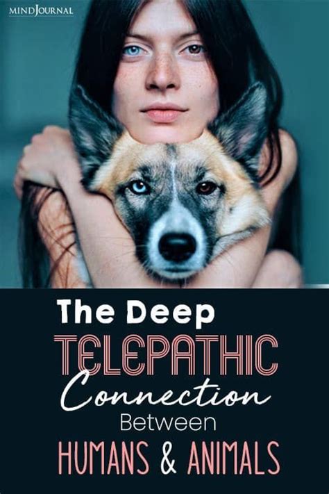 The Deep Telepathic Connection Between Humans And Animals: How To Read ...