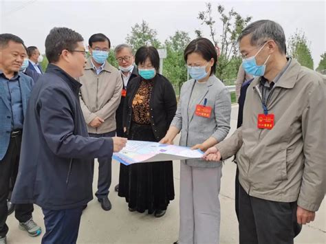 市人大常委会视察黄河故道生态廊道绿化管养和绿化工程实施情况