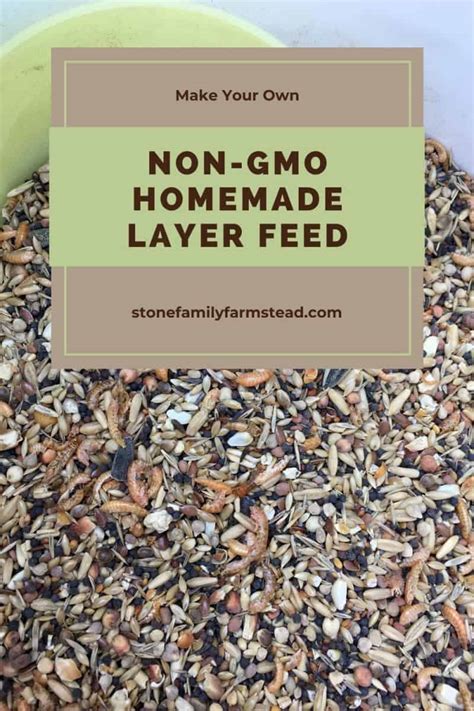 How To Make Chicken Feed For Layers Nutrient Rich And Non Gmo