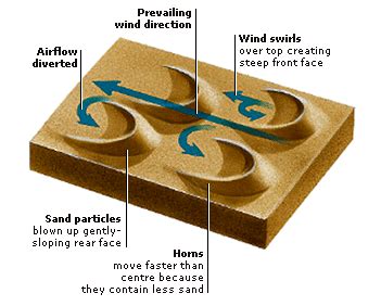 FEATURES OF WIND EROSION ~ 2020