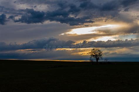 A Lone Tree And Beautiful Sunset On The Plains Of Colorado Stock Image