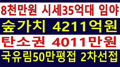 50만평국유림접 수~만평 송이산 2차선접 보전관리포함 싼임야 자연인 산림경영 숲경영 투자수익용 숲가치4211억원 탄소권4011