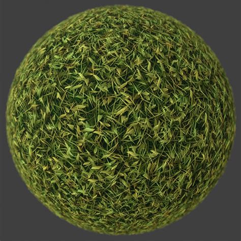 Grass Texture Unity Free Internetkda