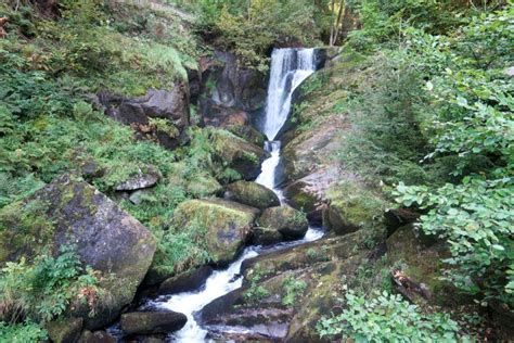 Qué ver en Triberg cascadas de Triberg y relojes de cuco Viajando