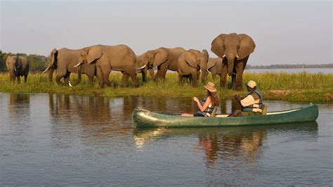 Kafue National Park Safaris Zambia Expert Africa