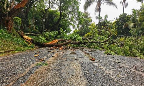 PICS: Kruger Park roads flooded as Eloise brings heavy rain to SA's north | The Citizen