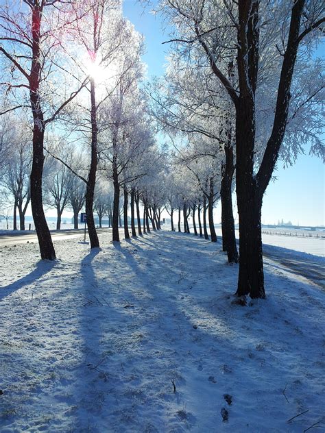 The Netherlands Winter 2012 | Beautiful nature, Nature, Winter