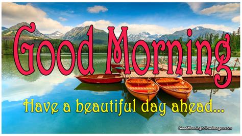 Beautiful Good Morning Scenery Images Photos Hd Download Good Morning